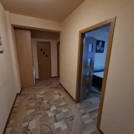 Apartament Carina Apartment